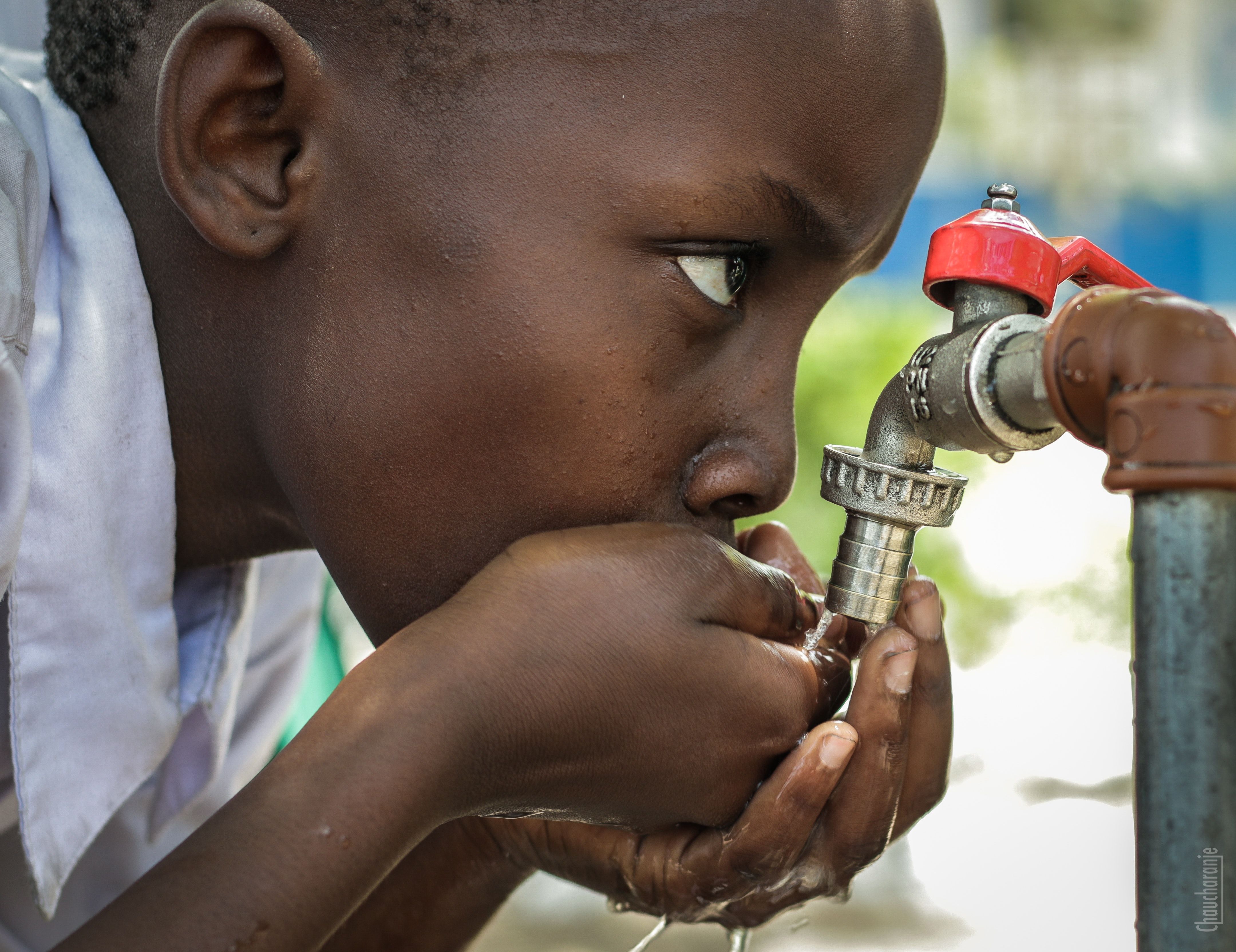 EN SENEGAL, SOLO EL 32% DE LOS COLEGIOS OFRECEN SERVICIOS ELEMENTALES DE APROVISIONAMIENTO DE AGUA